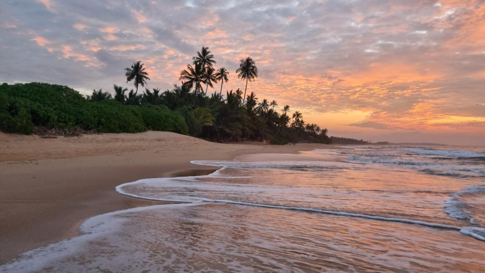 Cinnabar Resort Tangalle Exterior photo