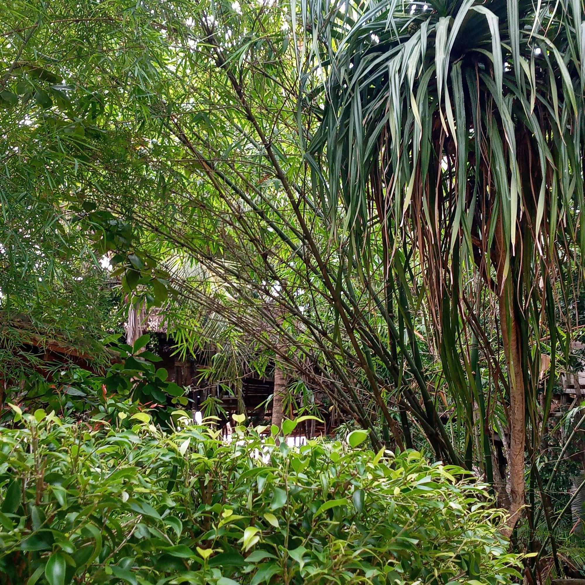 Cinnabar Resort Tangalle Exterior photo